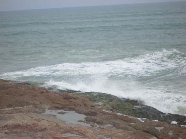 IMGP0495