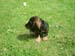 2007-06-03-13-44-51_0011