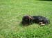 2007-06-03-13-48-39_0017