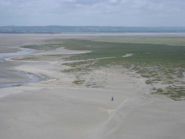 IMG075