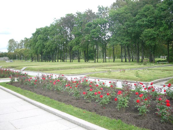 IMGP1043